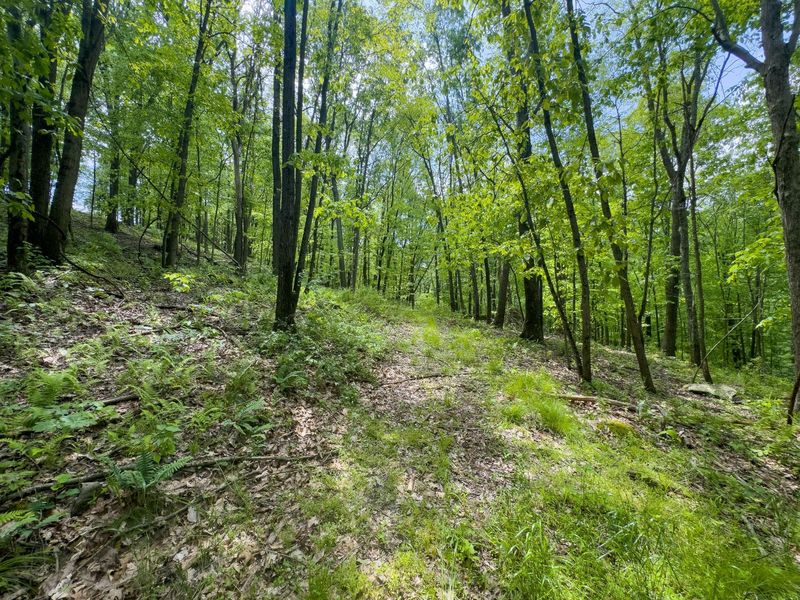 2250 Indian Camp Run Road, New Concord, OH 43762 Photo 44