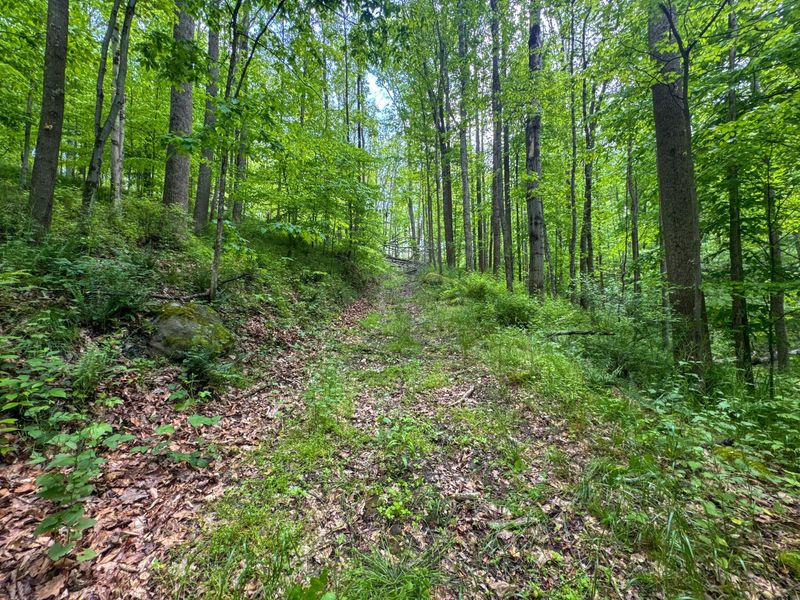 2250 Indian Camp Run Road, New Concord, OH 43762 Photo 47
