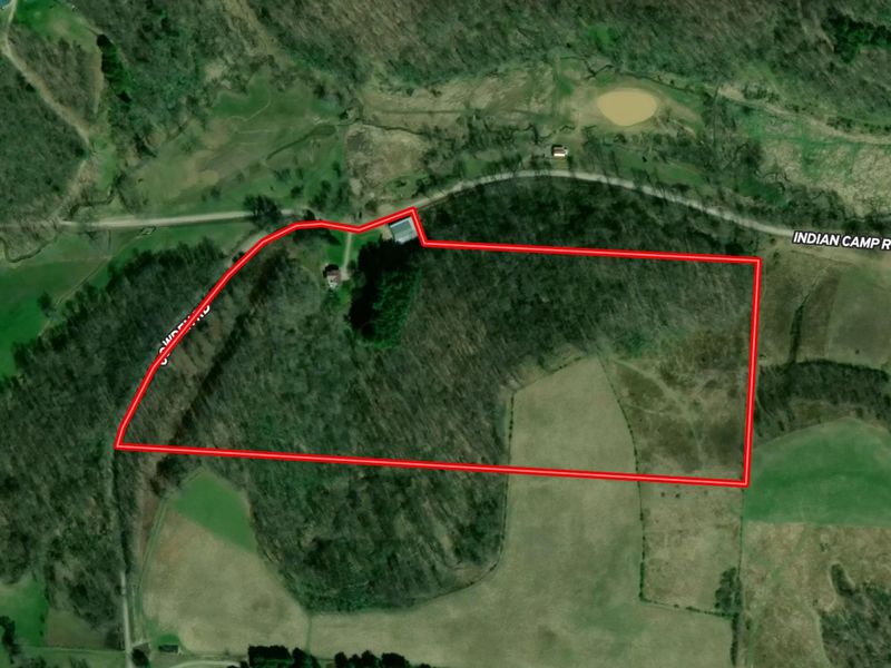 2250 Indian Camp Run Road, New Concord, OH 43762 Photo 49