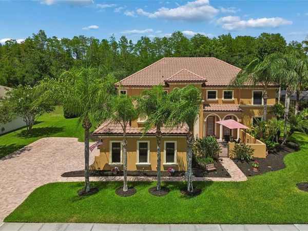 3654 BALLASTONE DRIVE , LAND O LAKES, FL 34638