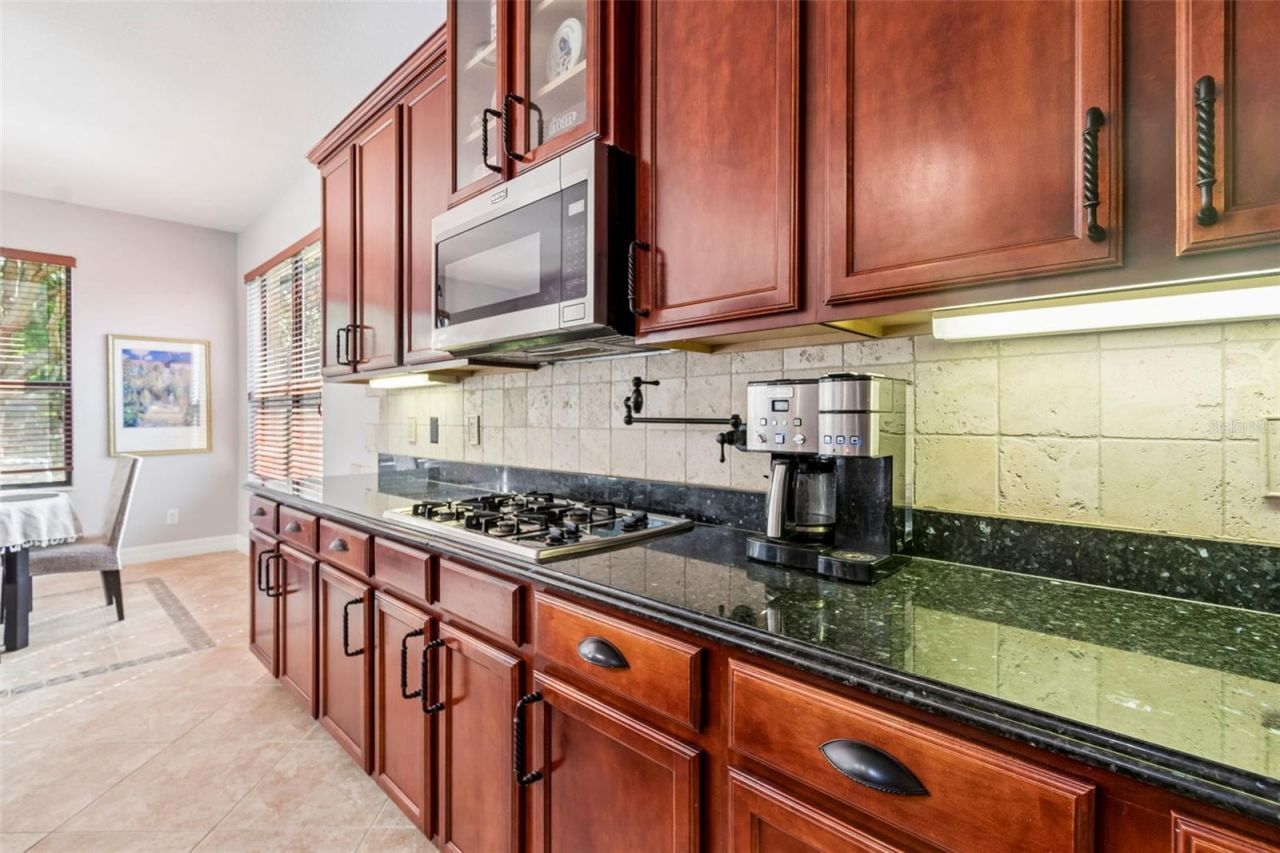 3654 Ballastone Drive , Land O Lakes, FL 34638 Photo