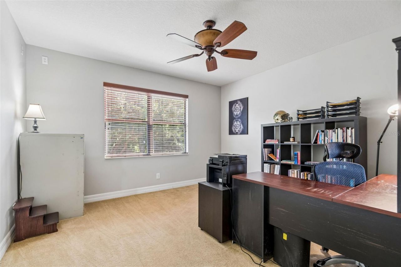 3654 Ballastone Drive , Land O Lakes, FL 34638 Photo