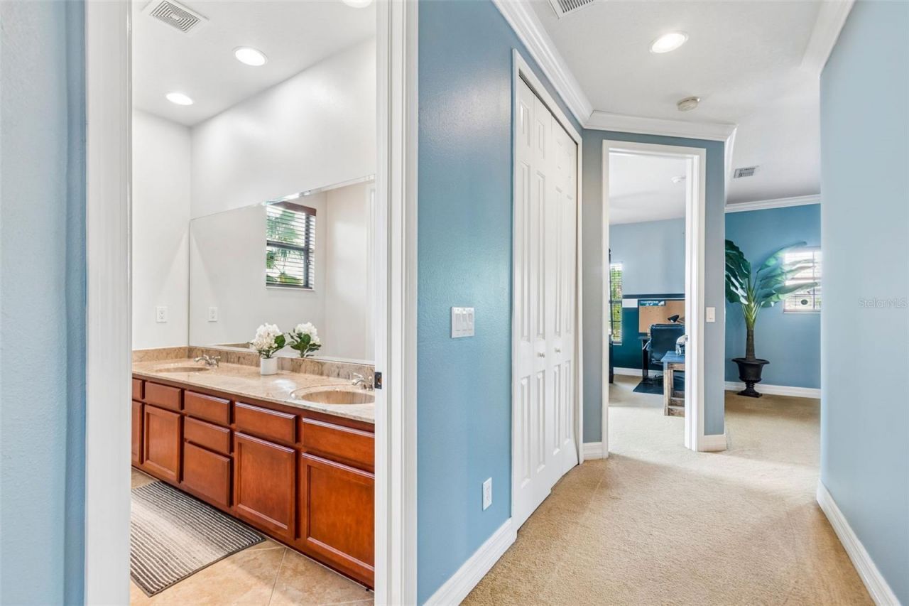 3654 Ballastone Drive , Land O Lakes, FL 34638 Photo