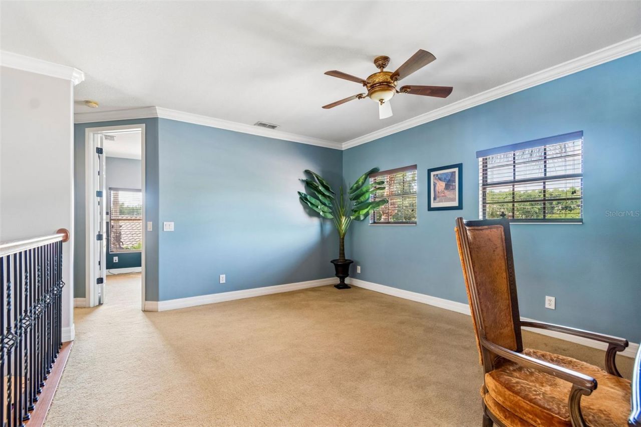 3654 Ballastone Drive , Land O Lakes, FL 34638 Photo