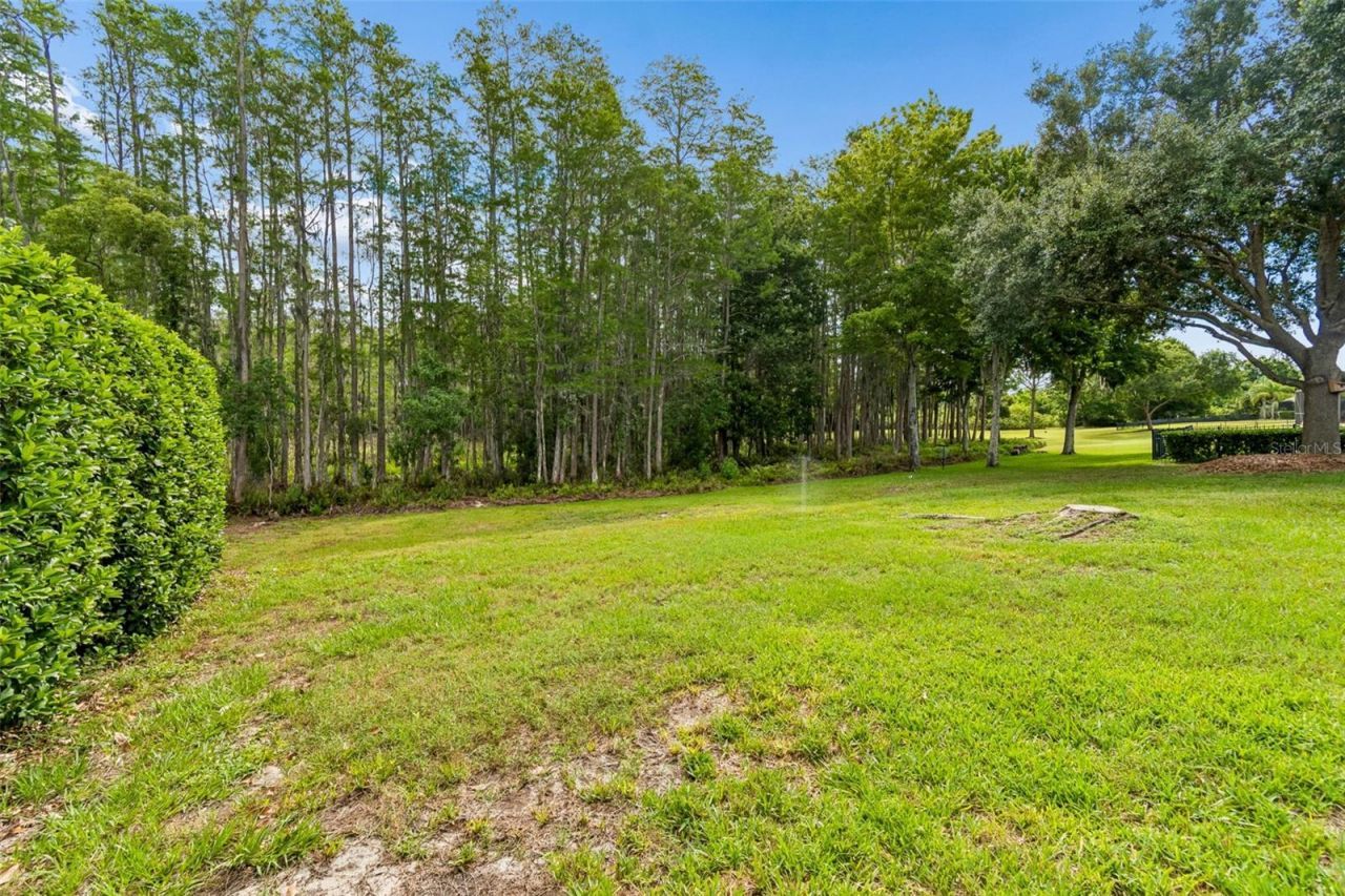 3654 Ballastone Drive , Land O Lakes, FL 34638 Photo