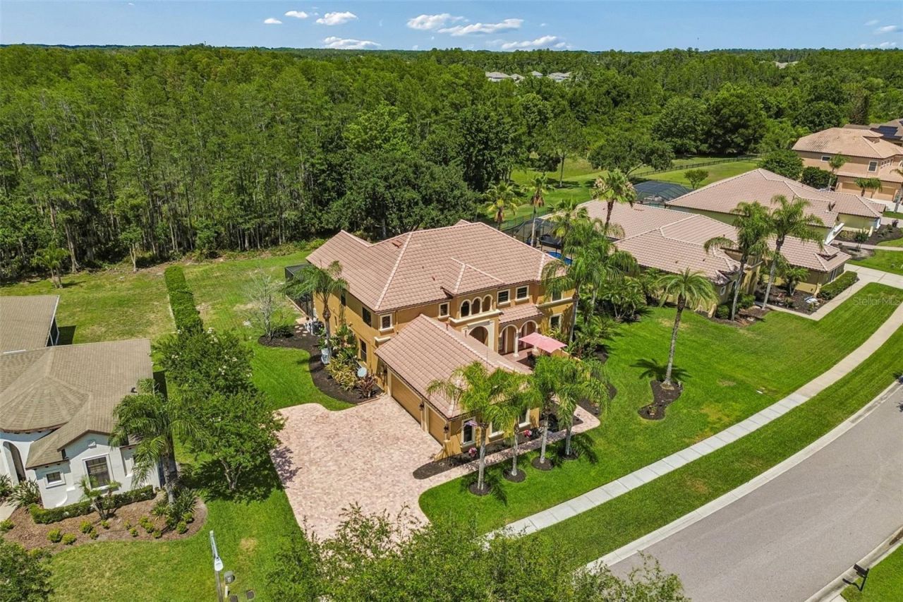 3654 Ballastone Drive , Land O Lakes, FL 34638 Photo