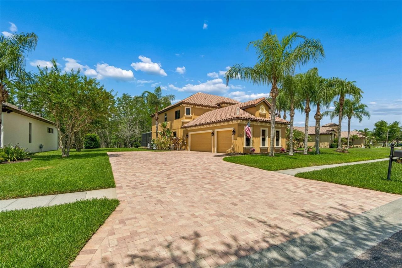 3654 Ballastone Drive , Land O Lakes, FL 34638 Photo