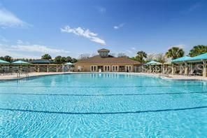 3654 Ballastone Drive, Land O Lakes, FL 34638 Photo
