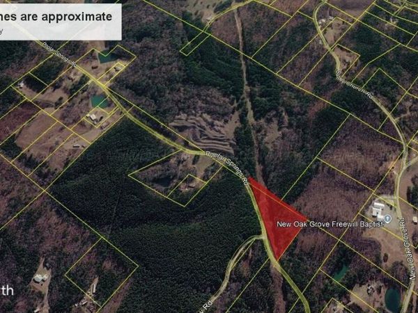 000 POPLAR SPRINGS Rd, Nauvoo, AL 35578