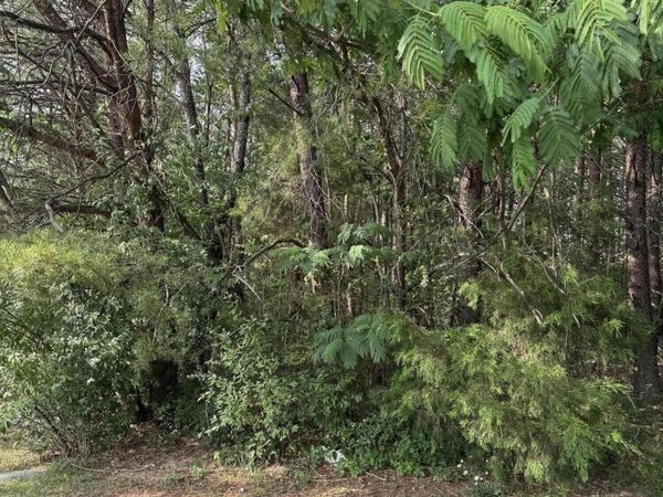 Seth Rd, Pigeon Forge, TN 37863