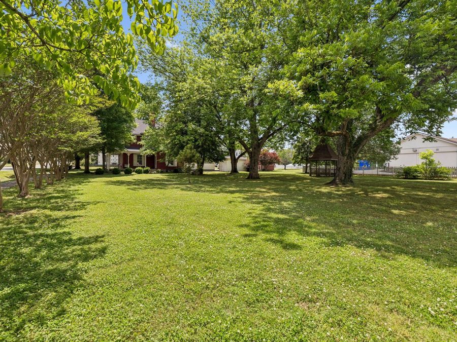 Property Image 59
