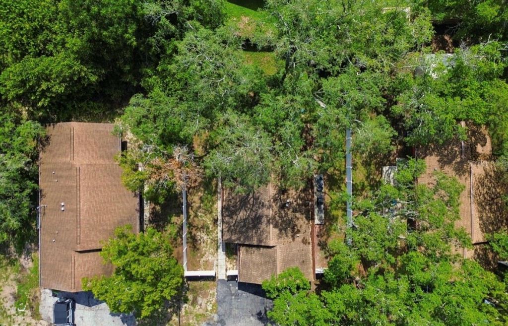 1812 Poinsettia Avenue, Tarpon Springs, FL 34689 Photo