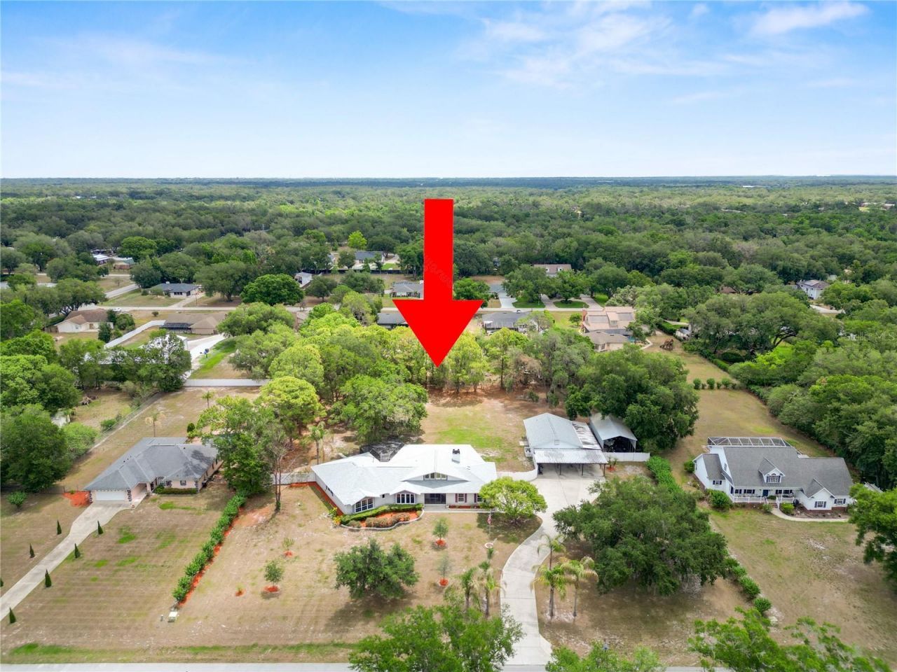 6230 Forestwood Drive W, Lakeland, FL 33811 Photo