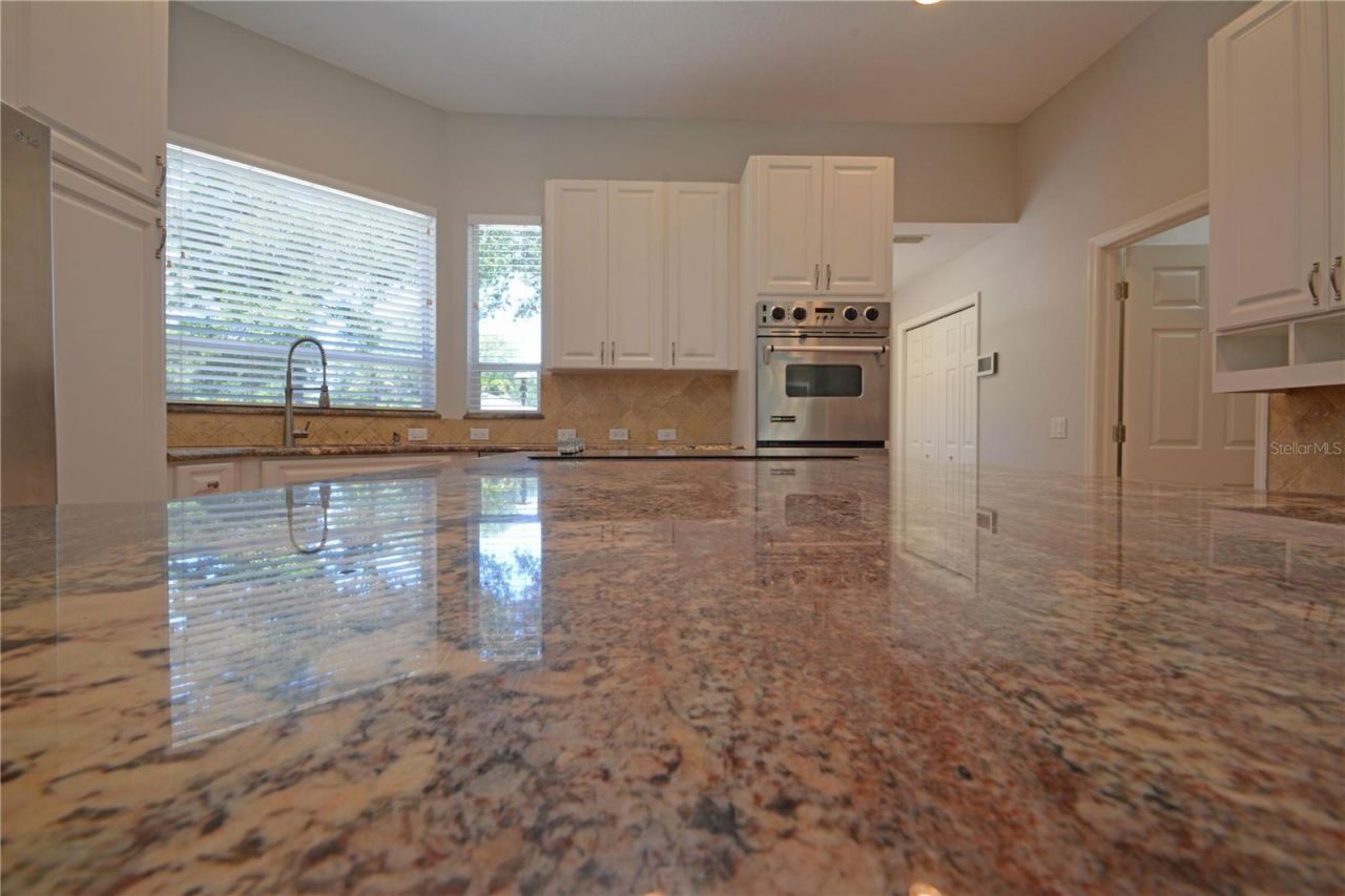 3293 Mallard Drive , Safety Harbor, FL 34695 Photo