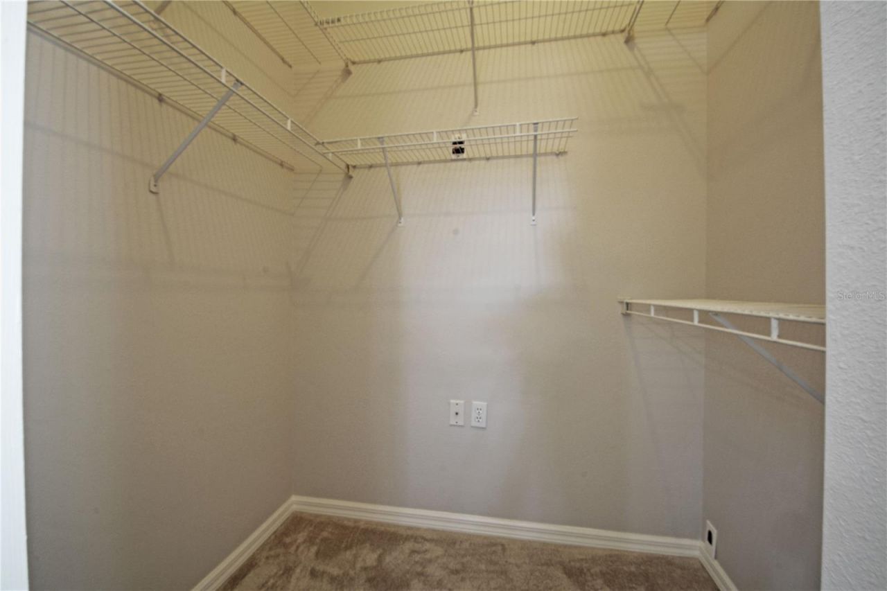 3293 Mallard Drive , Safety Harbor, FL 34695 Photo