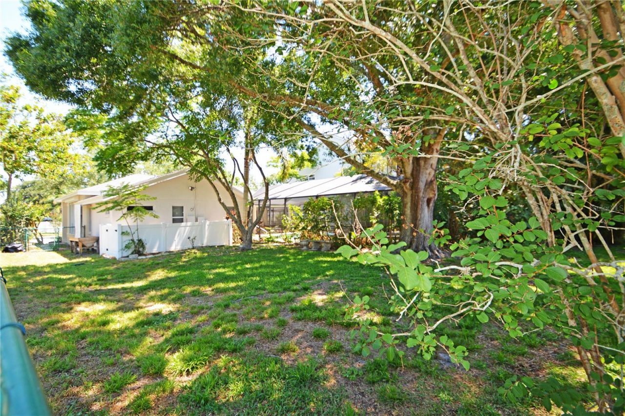 3293 Mallard Drive , Safety Harbor, FL 34695 Photo