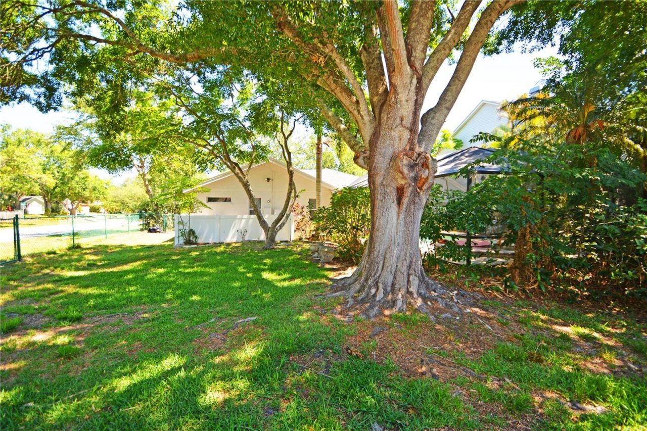 3293 Mallard Drive , Safety Harbor, FL 34695 Photo