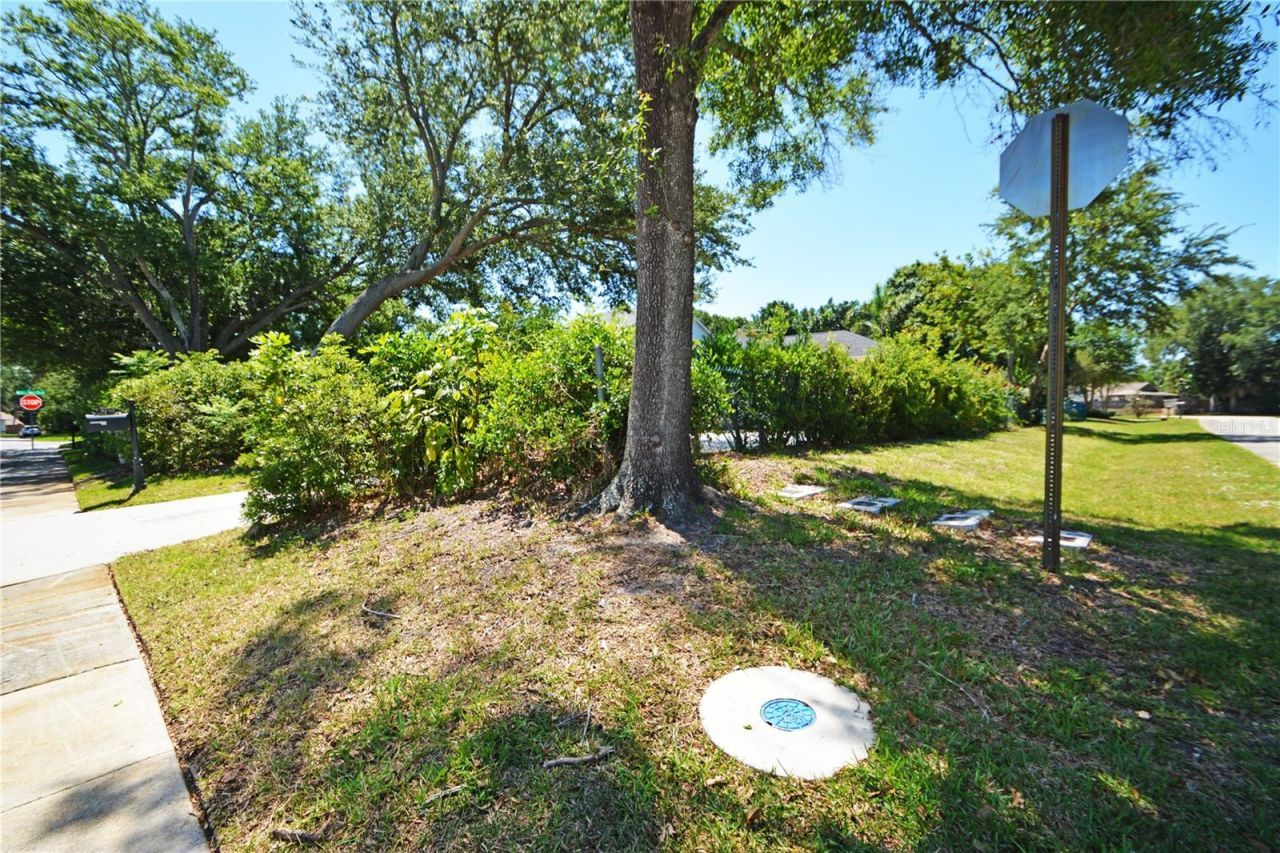 3293 Mallard Drive , Safety Harbor, FL 34695 Photo