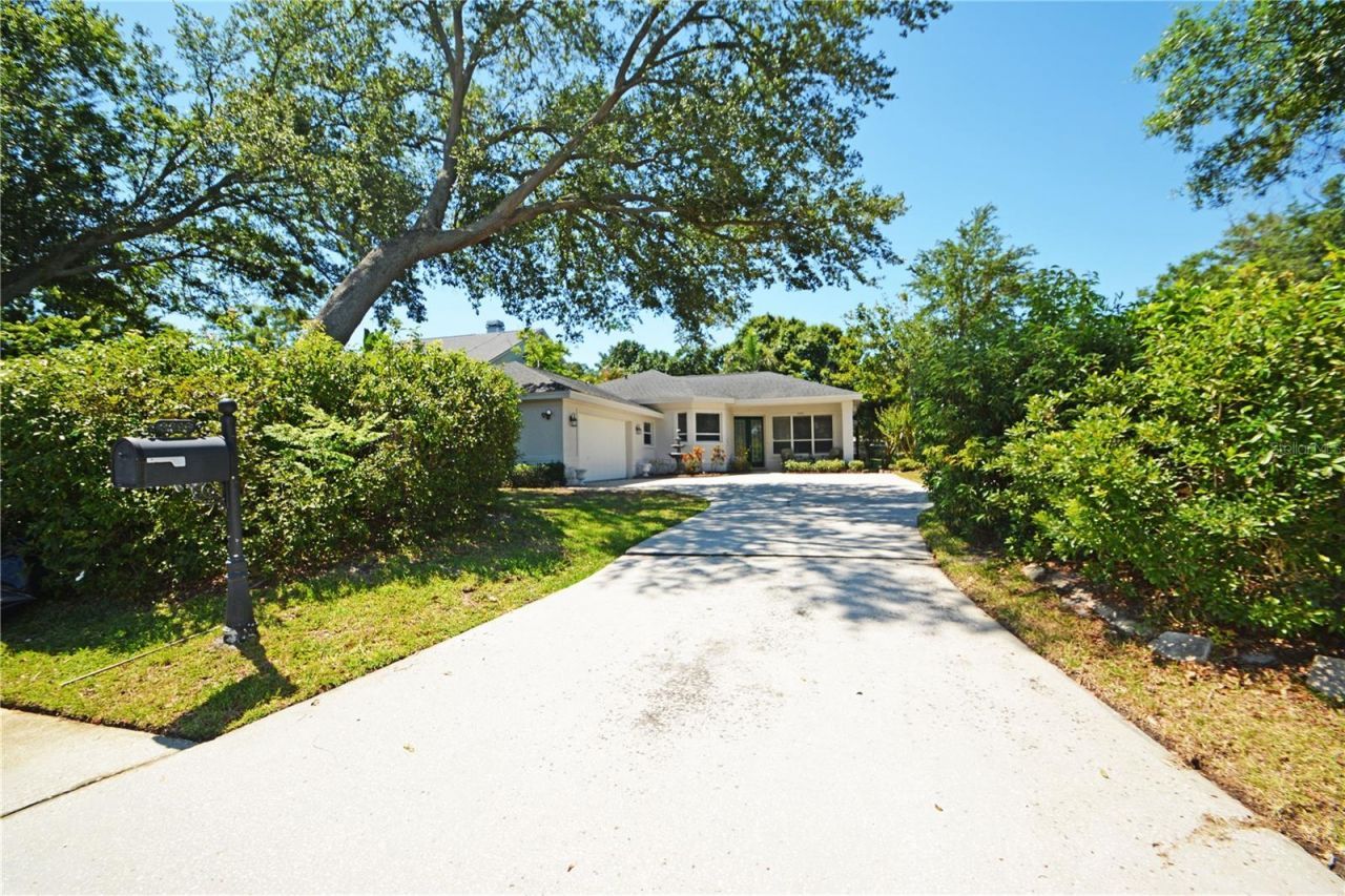 3293 Mallard Drive , Safety Harbor, FL 34695 Photo