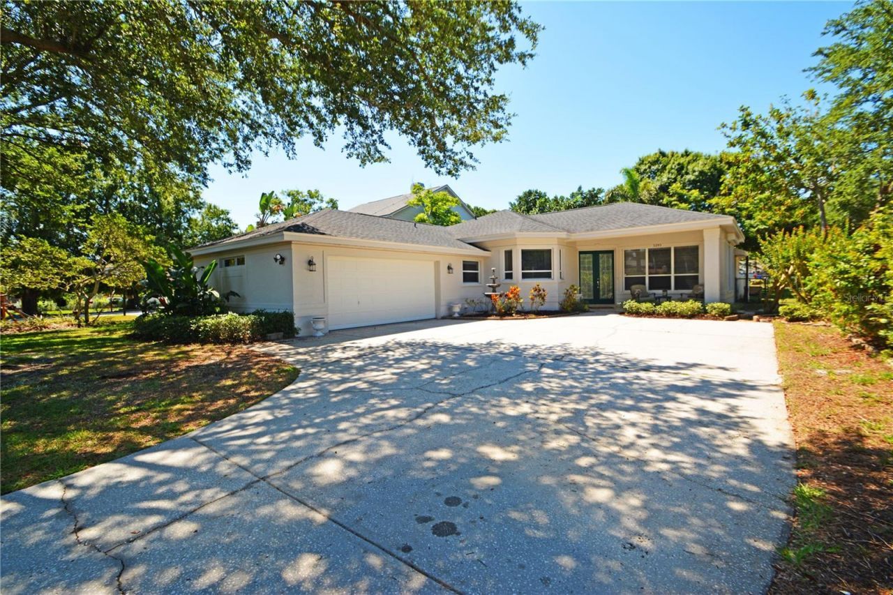 3293 Mallard Drive , Safety Harbor, FL 34695 Photo