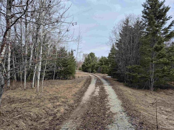 3754 W Quarry Road, Doyle Twp, MI 49840