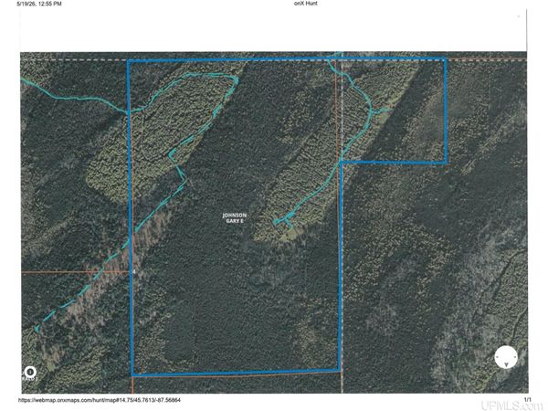 TBD Vega Road, Meyer Twp, MI 49847