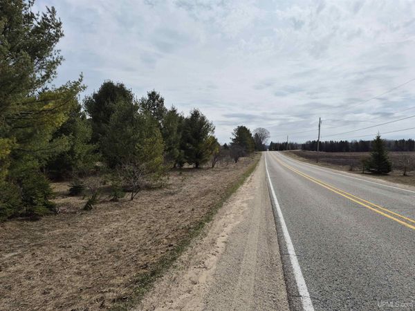 3754 E 20 Acres Quarry Road, Doyle Twp, MI 49840