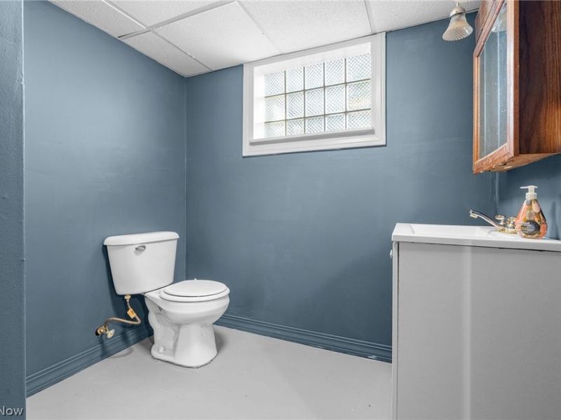 10326 Thrush Avenue, Cleveland, OH 44111 Photo 19