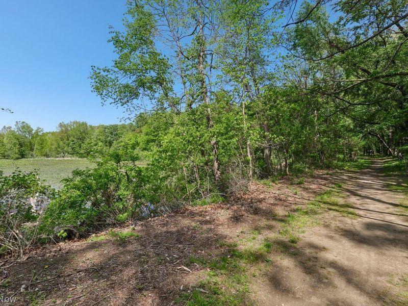 8203 Plains Road, Mentor, OH 44060 Photo 46