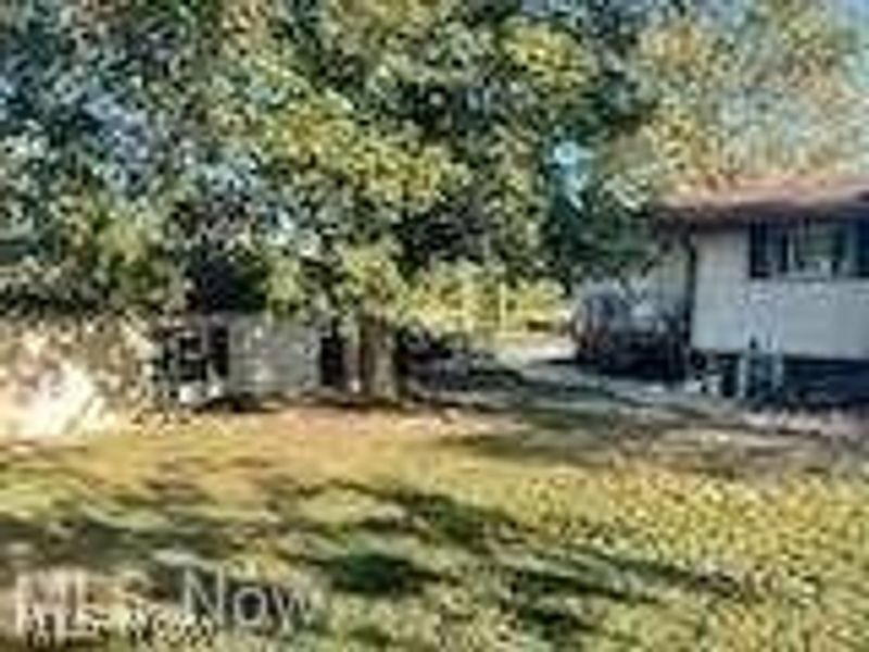 Jewett, OH 43986 Photo 3