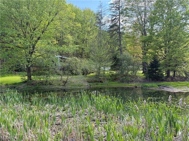 10633 Sherman Road, Chardon, OH 44024 Photo 4