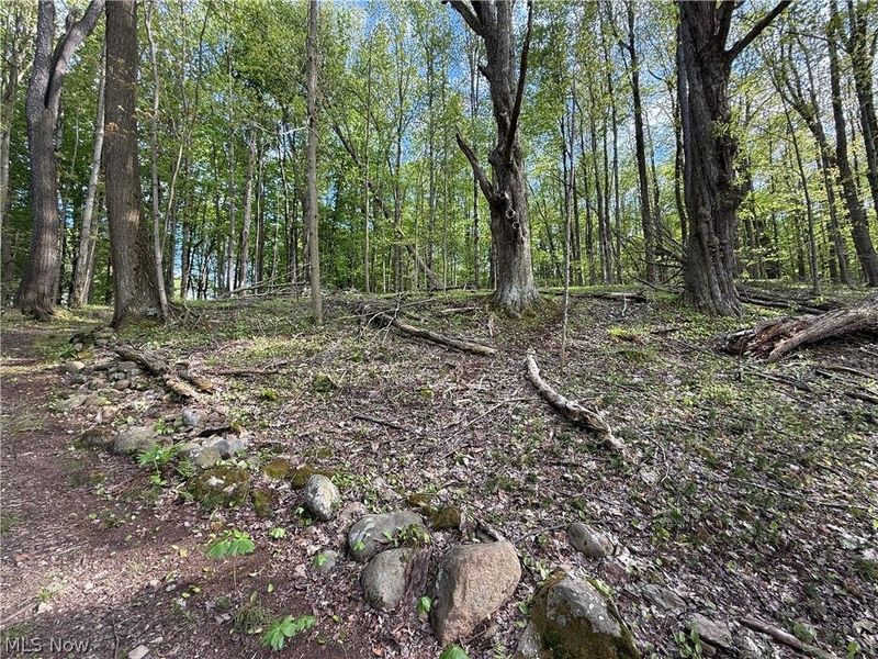 10633 Sherman Road, Chardon, OH 44024 Photo 7