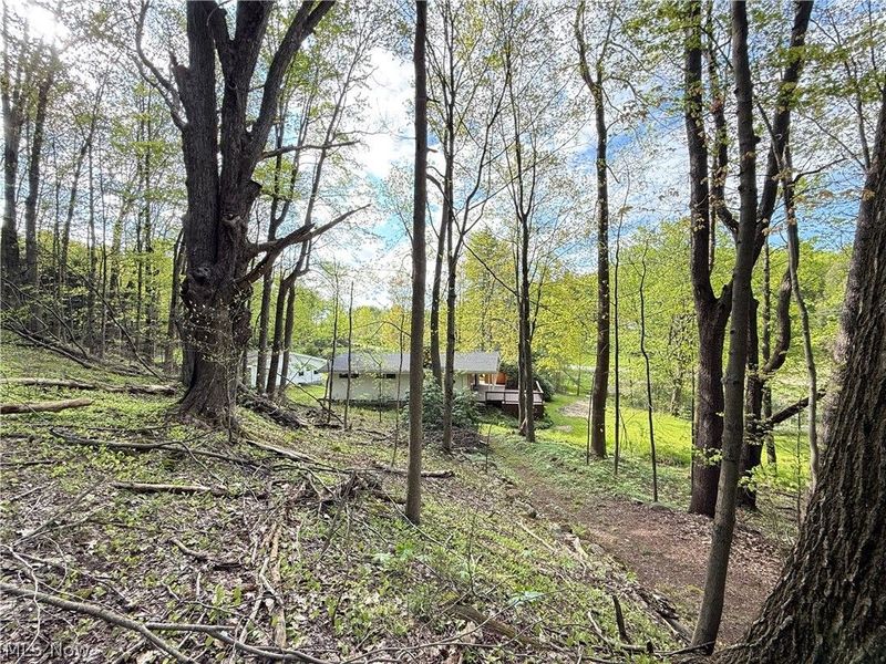10633 Sherman Road, Chardon, OH 44024 Photo 8