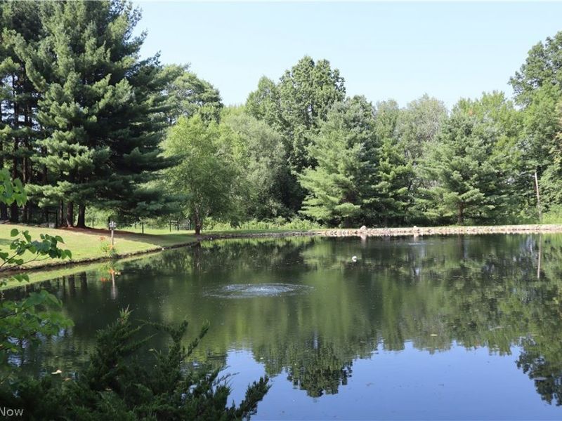7509 Girdle Road, West Farmington, OH 44491 Photo 43