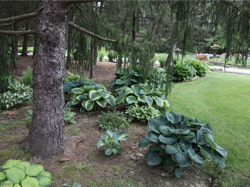 7509 Girdle Road, West Farmington, OH 44491 Photo 45