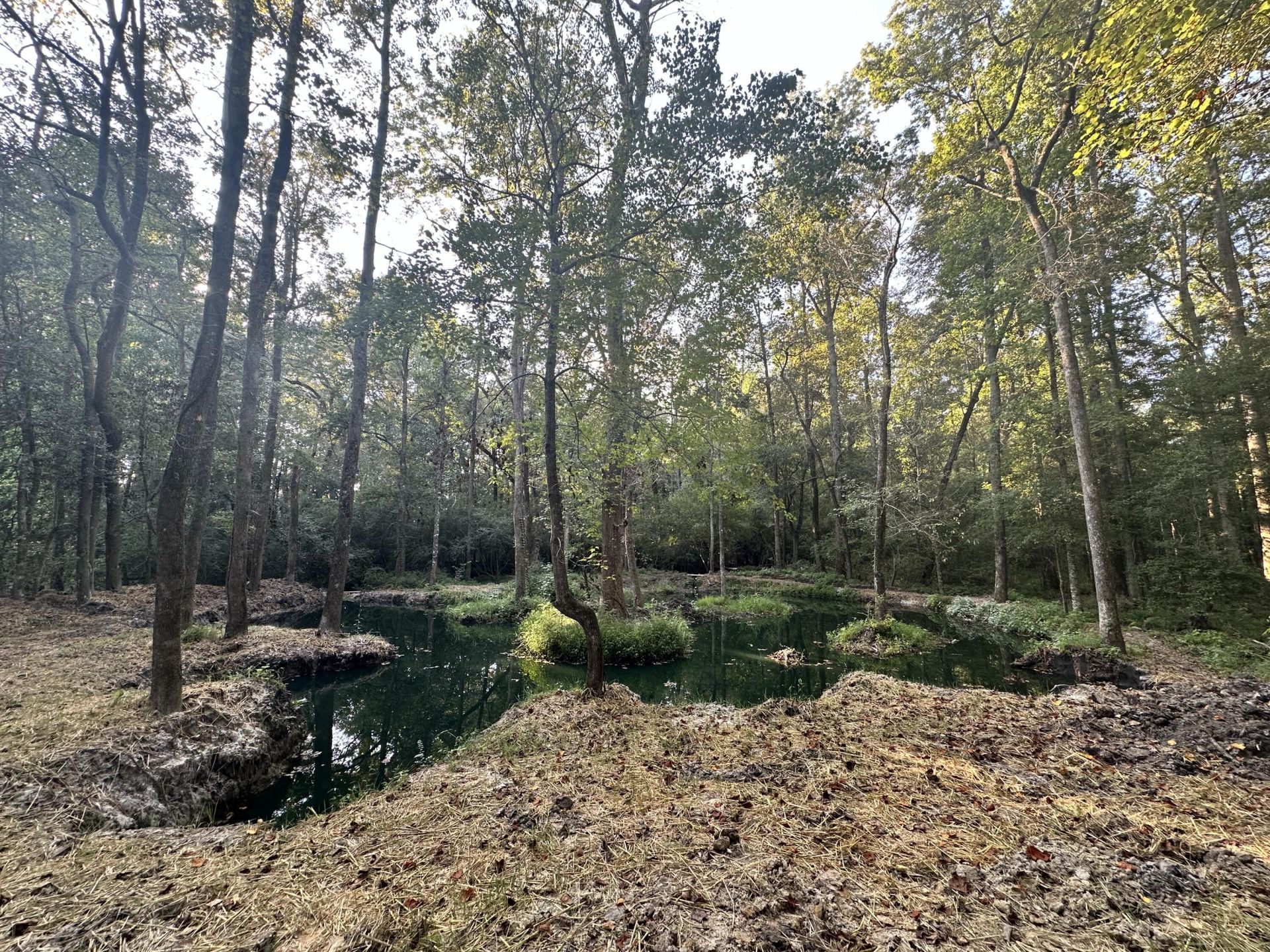 110 Poplar Grove Road Photo 32