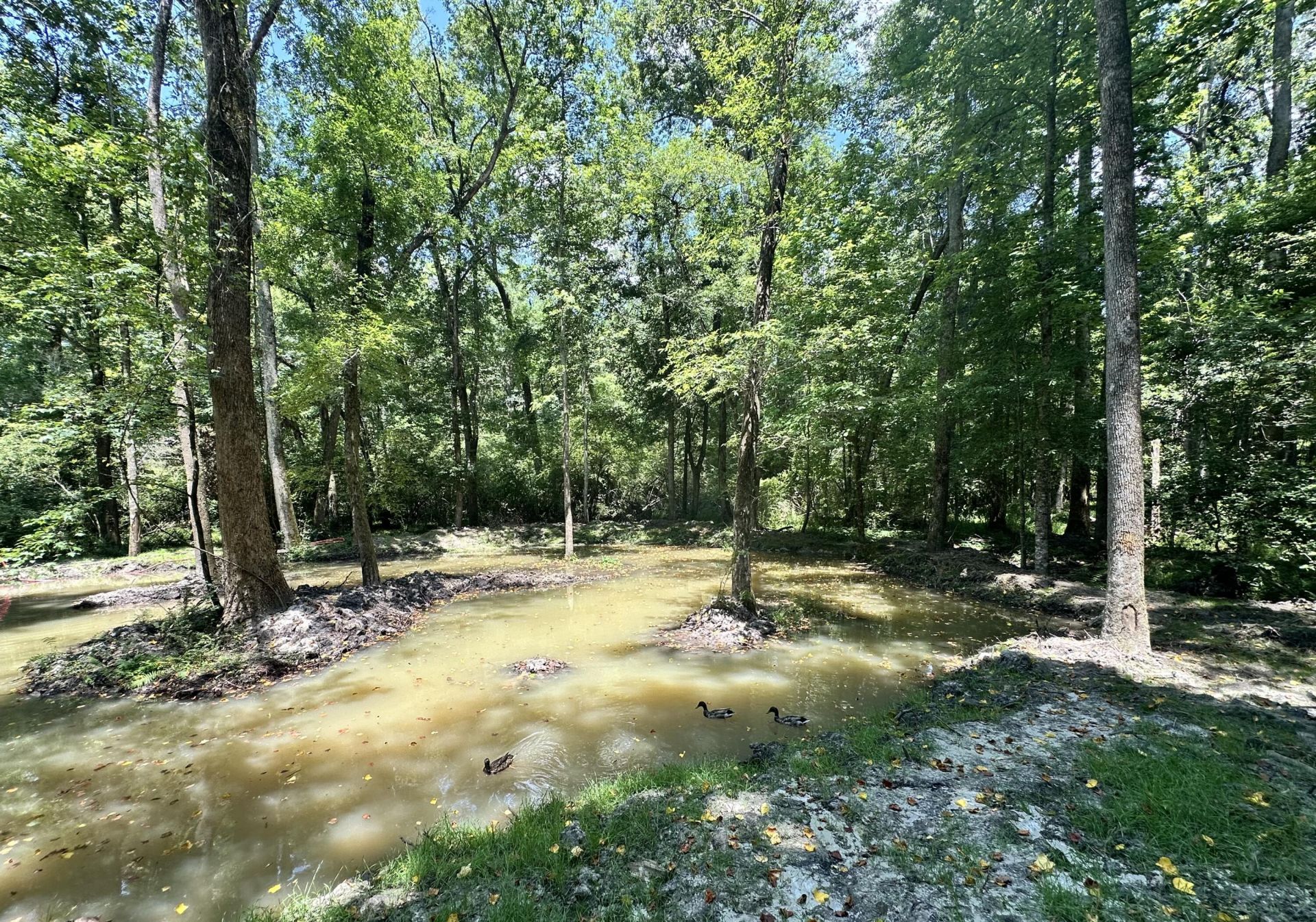 110 Poplar Grove Road Photo 33
