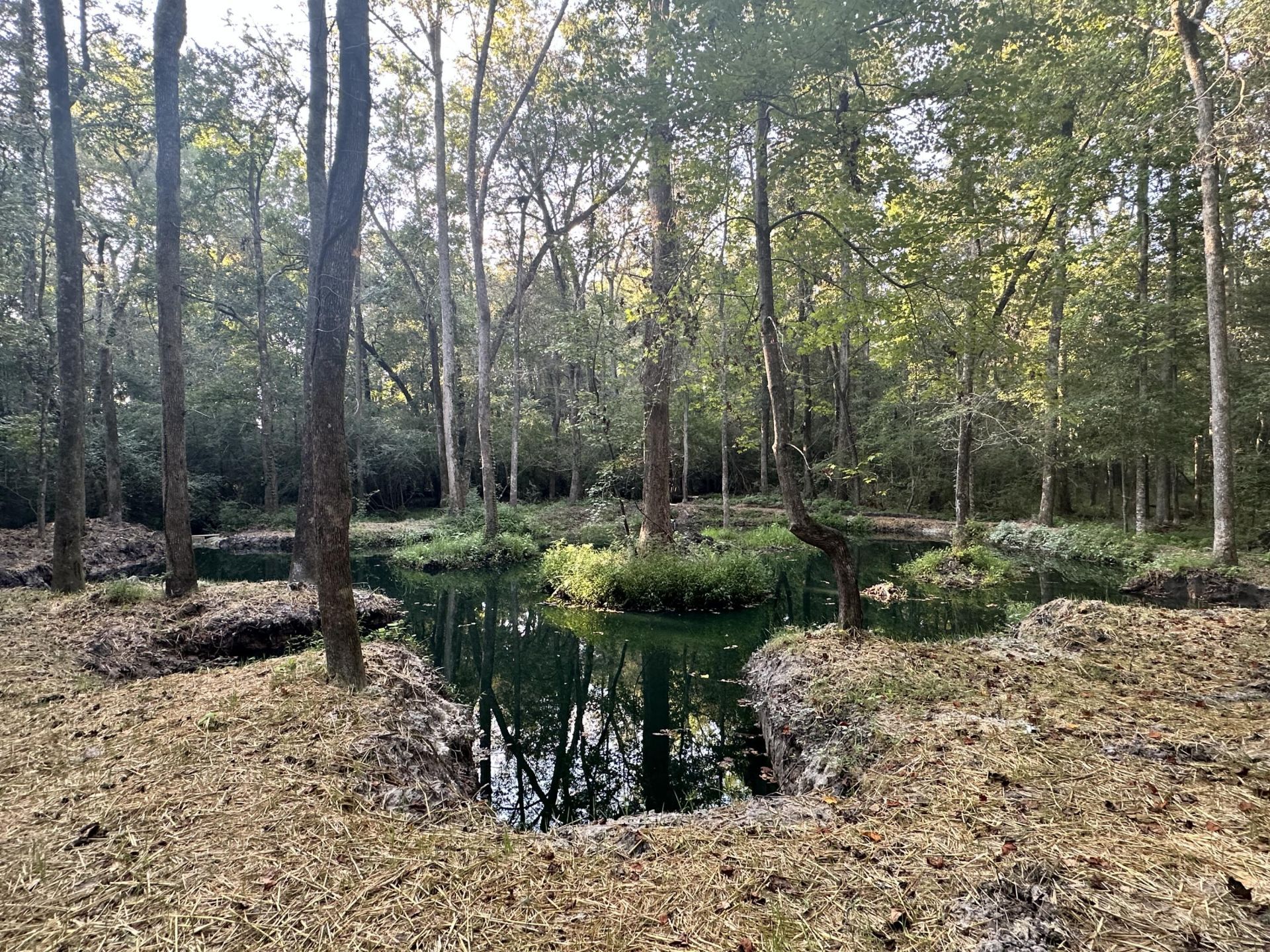 110 Poplar Grove Road Photo 33