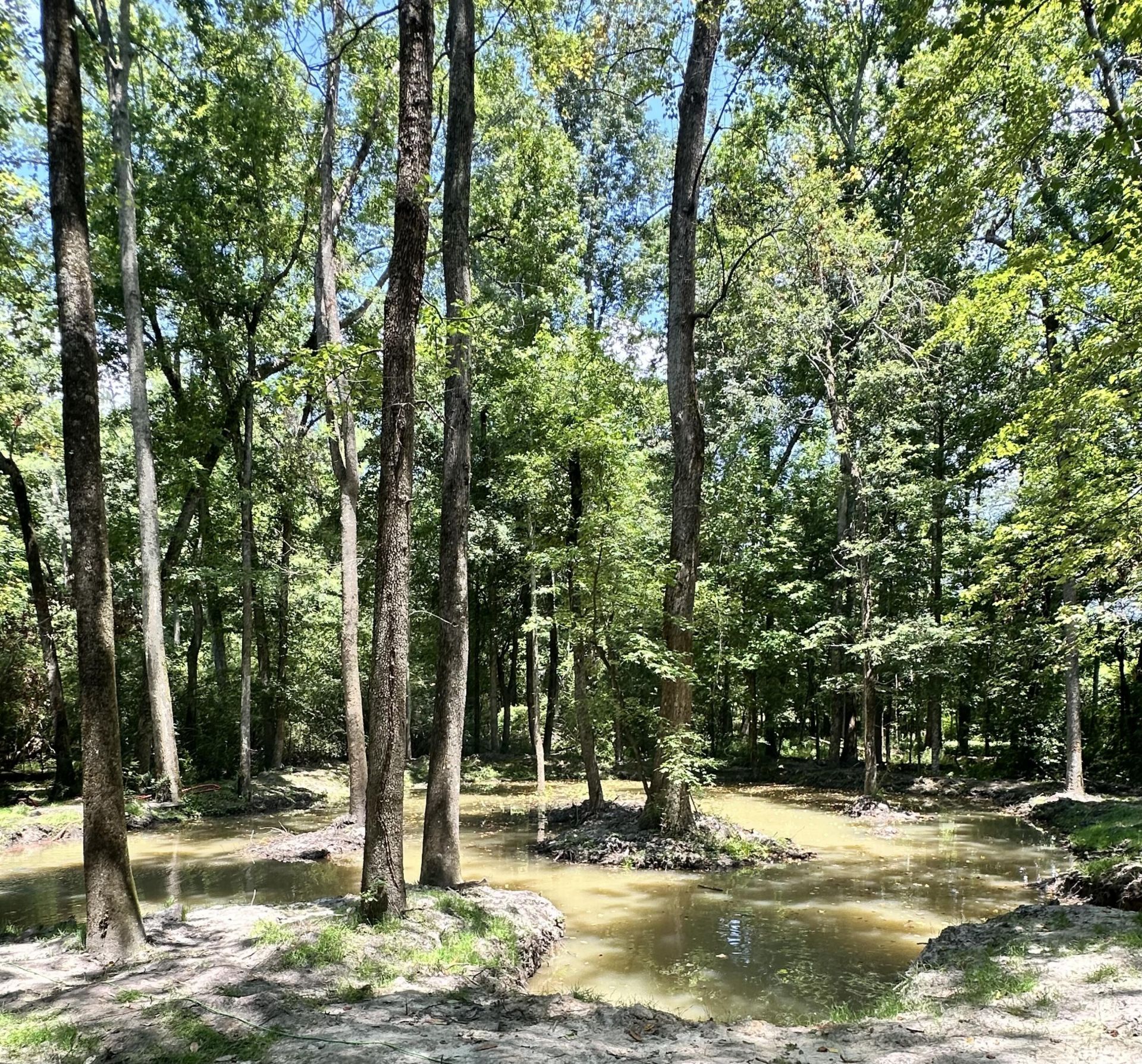 110 Poplar Grove Road Photo 35