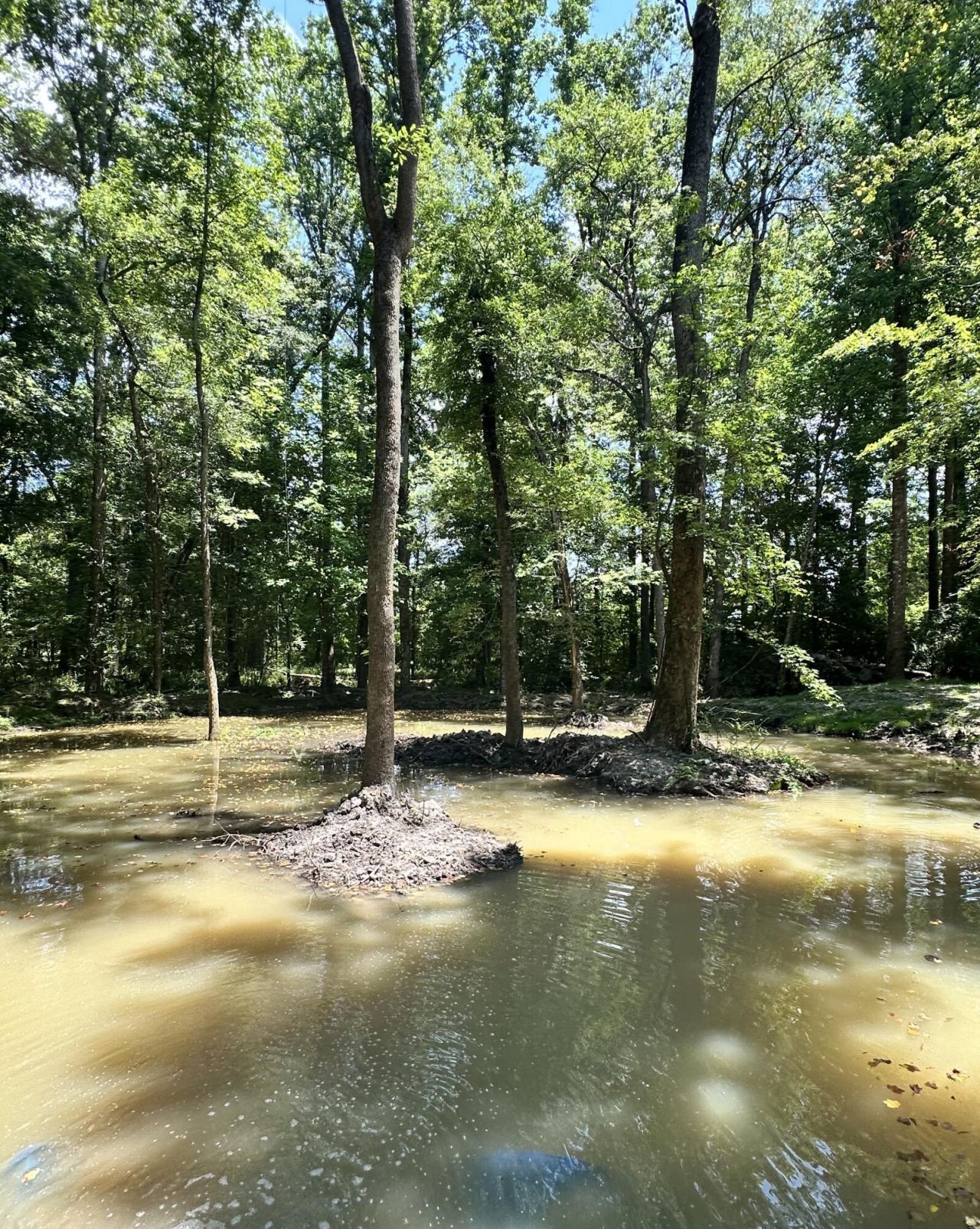 110 Poplar Grove Road Photo 36