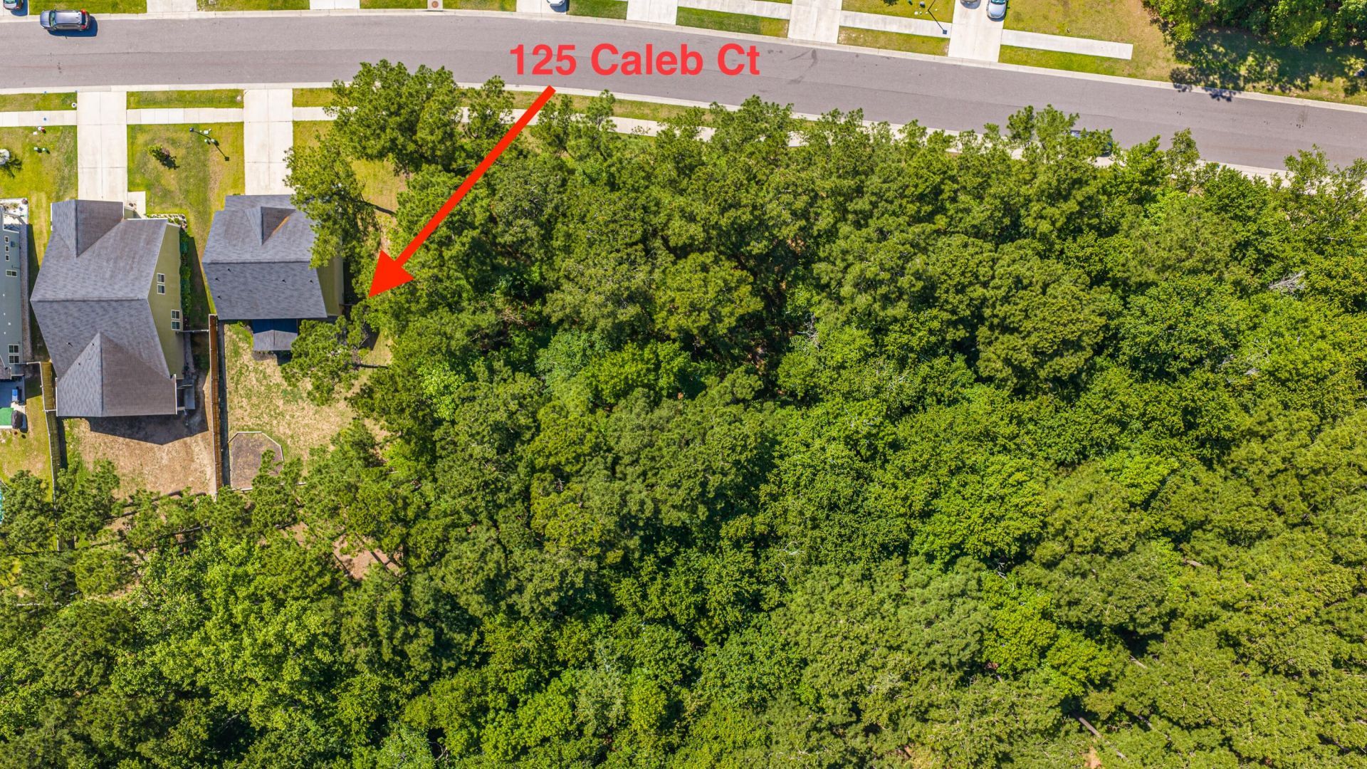125 Caleb Court Photo 83