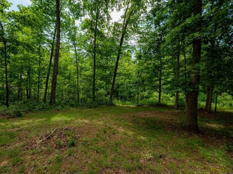 462 Hartsook Road Road , Vinton, OH 45686 Photo 57