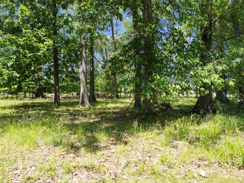 1 Chickasaw Cove, Franklin Twp, OH 45171 Photo 29