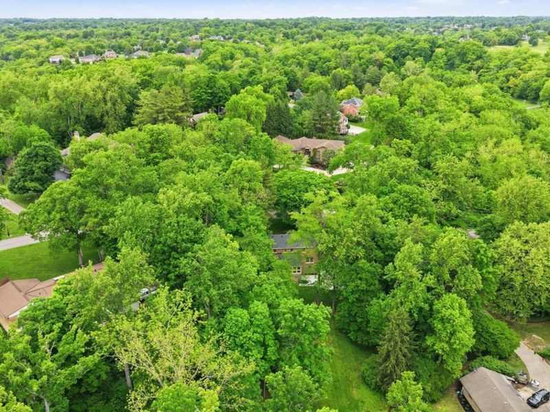 2082 Beech Grove Drive, Green Township, OH 45233 Photo 63
