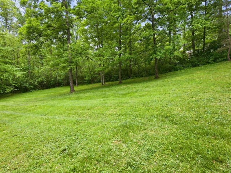 2082 Beech Grove Drive, Green Township, OH 45233 Photo 73