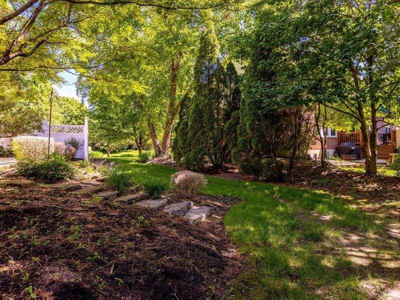 9726 Country Trail, Loveland, OH 45140 Photo 50