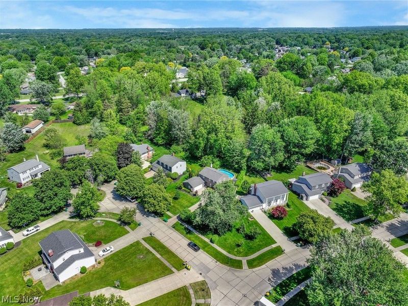 7850 Country Court, Mentor, OH 44060 Photo 33