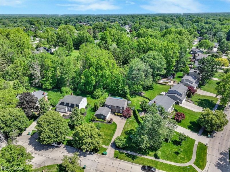 7850 Country Court, Mentor, OH 44060 Photo 38