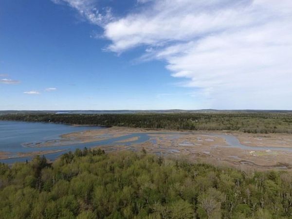 Lot 14 West Bay Road, Gouldsboro, ME 04607