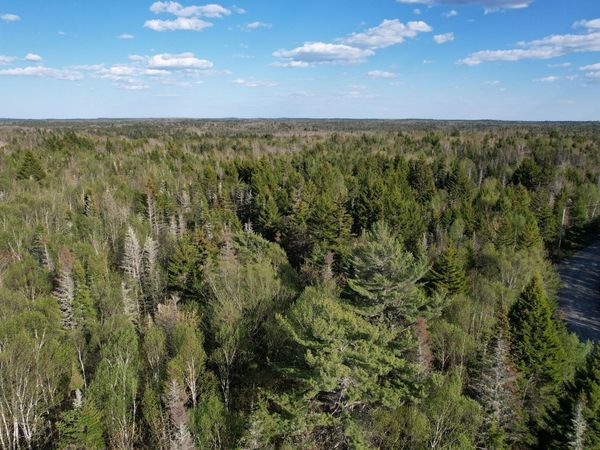 Lot 009 Off of Reynolds Brook Road , Whiting, ME 04691